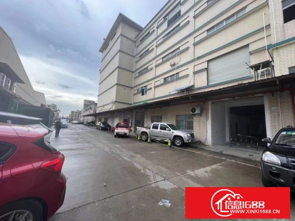 大岭山杨屋村龙大高速附近工业园新出 标准红本厂房一楼1000平方，层高6米