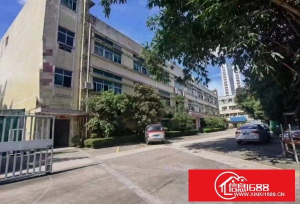 龙岗宝龙街道独院分租1楼实际面积1600平方