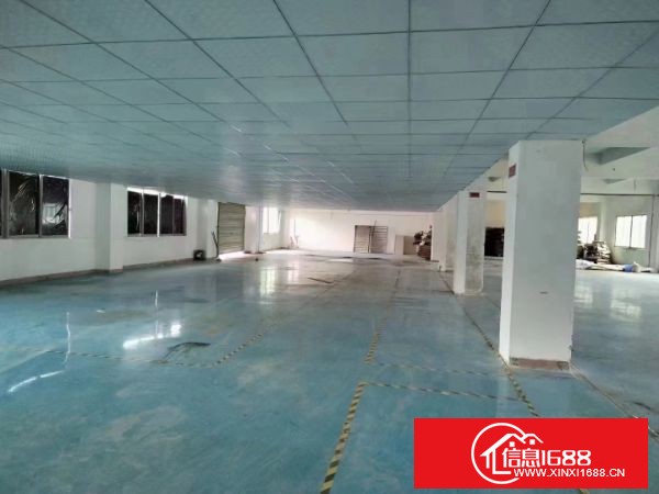 龙岗坪地原业主外环高速出口附近新出独院靓盘面积15000平米，带精装修