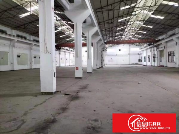 光明独门独院钢构3000平方，高度9米 空地超大合同期长