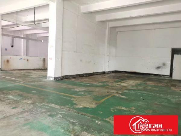 龙岗横岗带红本厂房，一手房东，6米高标准厂房2200平方一楼