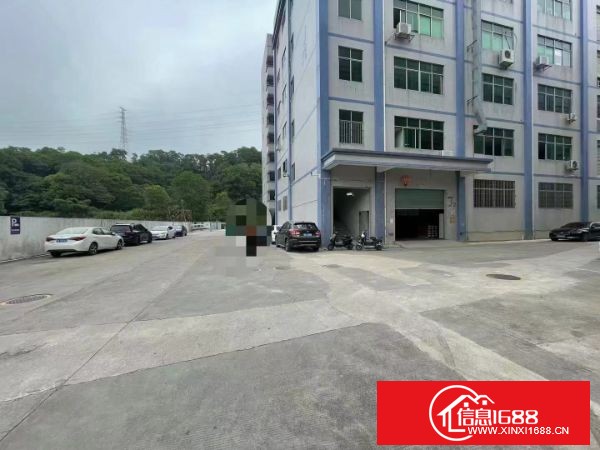 坂田新出一楼1350平 原房东，有红本，使用率高，门口空地大，货柜方便进出