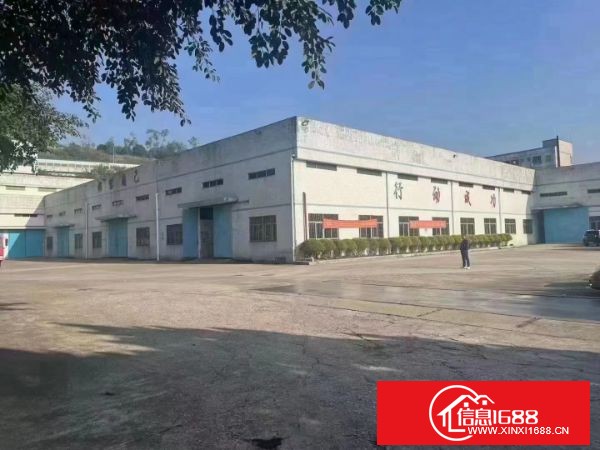 龙岗五连外环高速出口独栋钢结构厂房5000平方出租，高11米