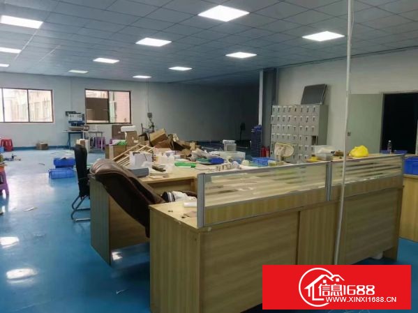 东莞长安镇乌沙大润发附近 二楼550平，精装修办公室