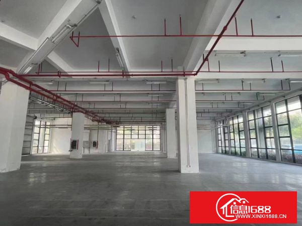 坪地！新出高新产业园楼上单层面积2950平，共两层5900平，有3吨货梯两部，客梯2部