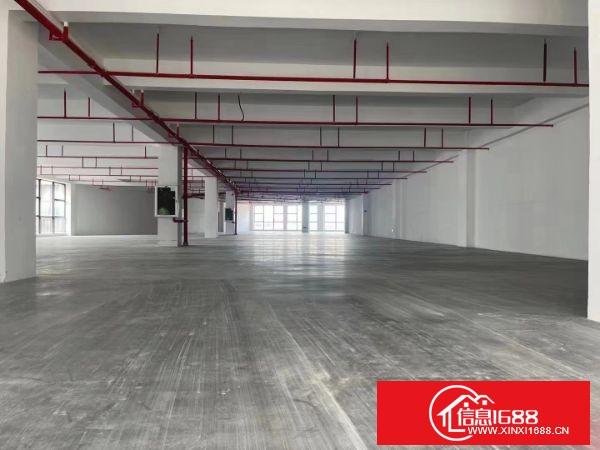 坪地！新出高新产业园楼上单层面积2950平，共两层5900平，有3吨货梯两部，客梯2部