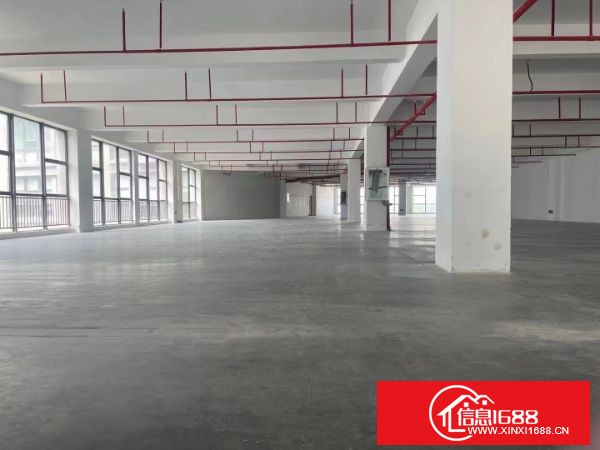 坪地！新出高新产业园楼上单层面积2950平，共两层5900平，有3吨货梯两部，客梯2部