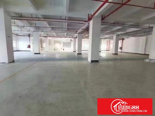 横岗地铁口原房东物业，一楼1500㎡+1322㎡，可打通合并。层高4.8米、带卸货台