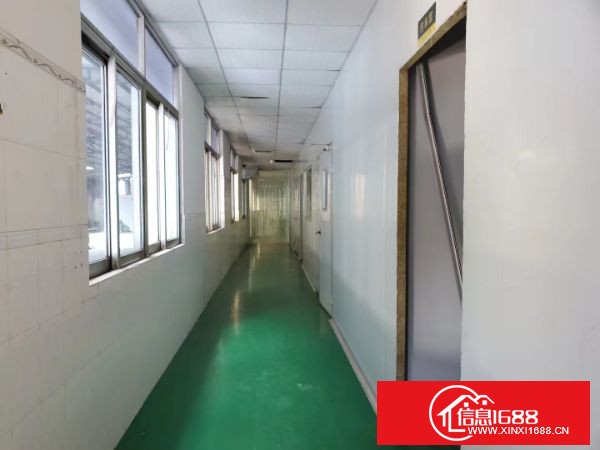 东莞长安上沙独门独院厂房 带装修无尘车间1-2楼3000平方