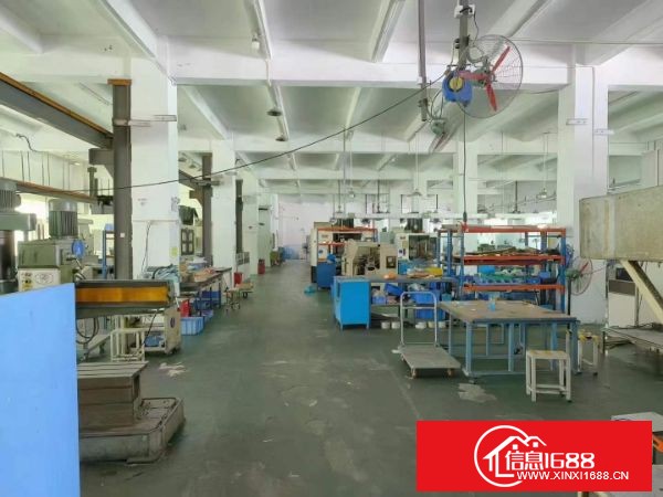 松岗大田洋新出 独门独院1-3层5860平米，水电到位带豪华装修，一楼5.5米高，现成行车