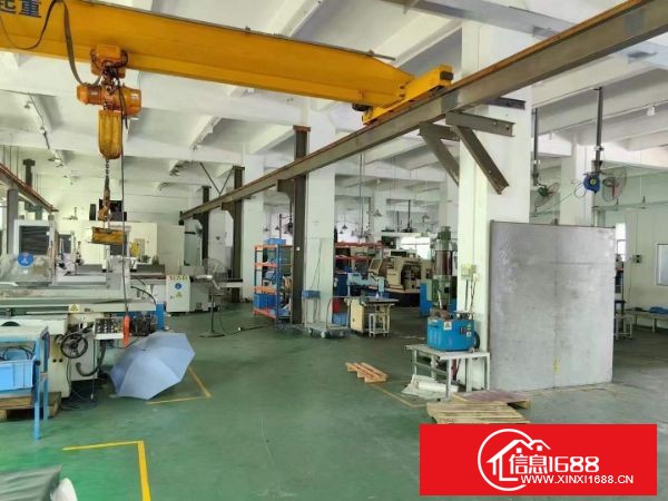 松岗大田洋新出 独门独院1-3层5860平米，水电到位带豪华装修，一楼5.5米高，现成行车