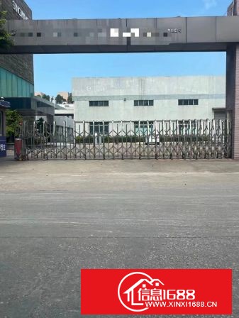 东莞虎门原业主钢结构独院厂房11000平方出租，可分租，高10米