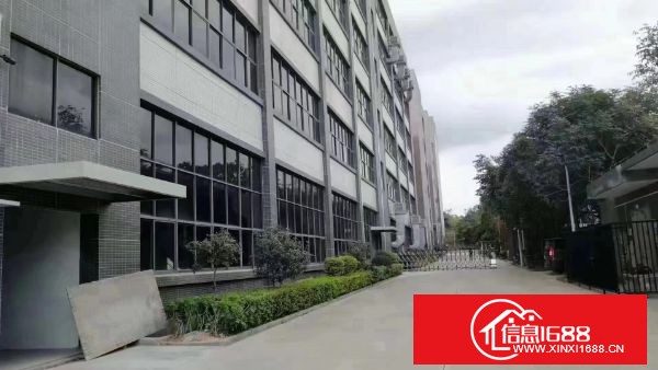 东莞凤岗五联碧湖大道 一楼650平方 二楼1200平方 有地平漆，水电齐全