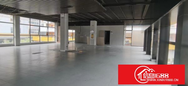 龙岗中心城附近 独栋二楼，478㎡，3+1格局，有上下水，厨房，卫生间，落地窗，采光好