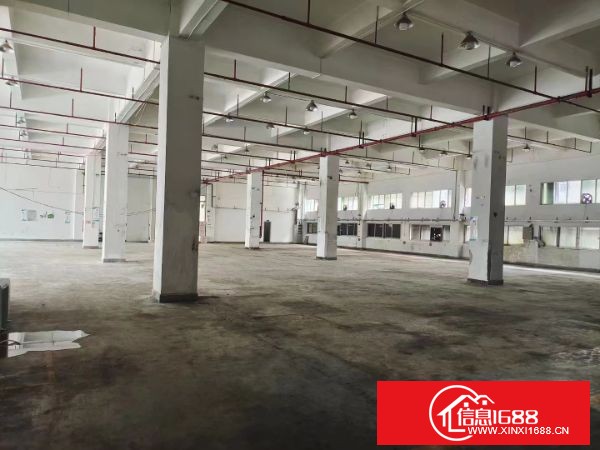 东莞长安新安大桥旁 长安镇乌沙社区 一楼：2360平方米，高6.3米，现场办公室装修