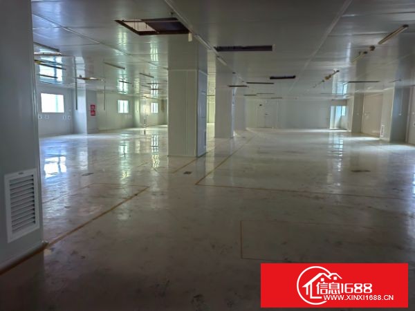龙岗宝龙高新产业园新出2-3楼，每层3300平方，带现成无尘车间装修，可以拎包生产
