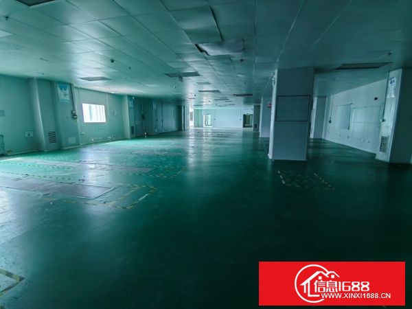 龙岗宝龙高新产业园新出2-3楼，每层3300平方，带现成无尘车间装修，可以拎包生产