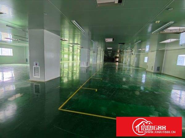 龙岗宝龙高新产业园新出2-3楼，每层3300平方，带现成无尘车间装修，可以拎包生产