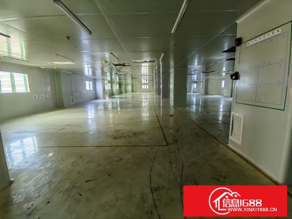 龙岗宝龙高新产业园新出2-3楼，每层3300平方，带现成无尘车间装修，可以拎包生产