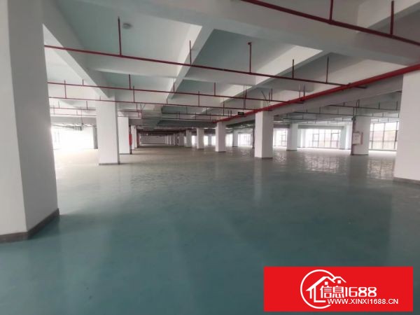 东莞凤岗全新厂房楼上5000平方，实量面积只要16块！全新地坪漆！4部货梯！