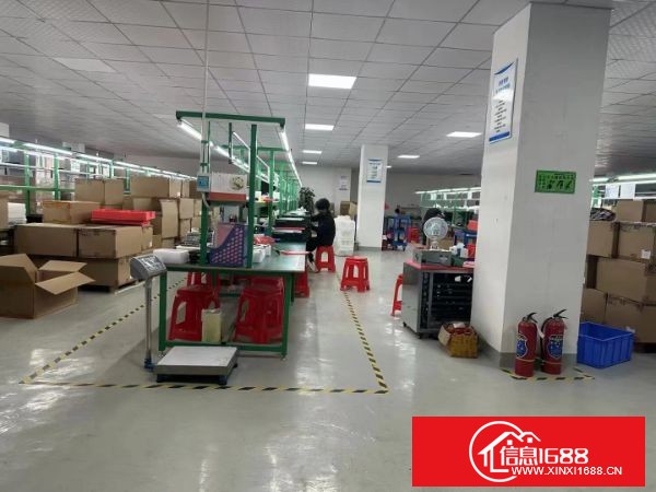 东莞长安镇锦厦社区靠近深圳 楼上1600平，精装修  水电齐全 拎包入住