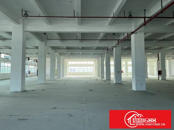 石岩街道松白路原业主红本工业园出租，1栋1-6层，15000平方，2栋1-6层11000平方，高5.8米