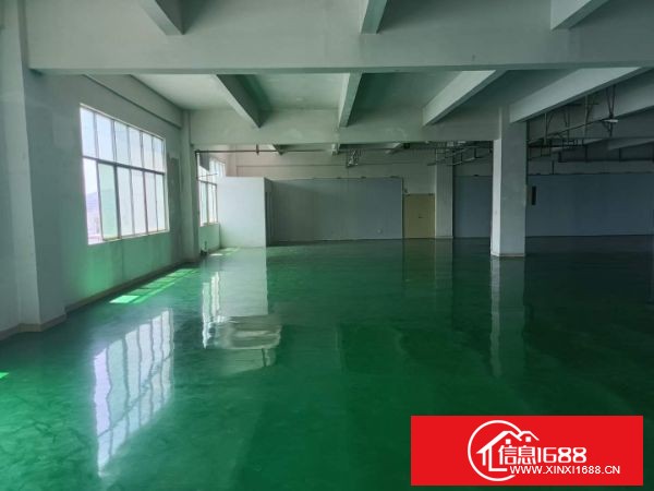 东莞凤岗金凤凰出租四楼半层，1600平米，13元／平米，重工业厂房，有三吨正规电梯，有地坪漆