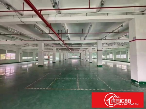 观澜梅观高速口，主干道路边，超大空地独院厂房招租，总面积15000平米，3栋厂房2栋宿舍，可整租可分租