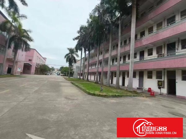 观澜梅观高速口，主干道路边，超大空地独院厂房招租，总面积15000平米，3栋厂房2栋宿舍，可整租可分租