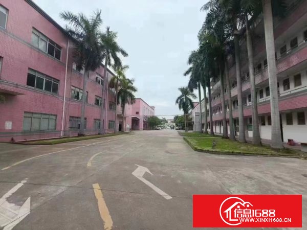 观澜梅观高速口，主干道路边，超大空地独院厂房招租，总面积15000平米，3栋厂房2栋宿舍，可整租可分租