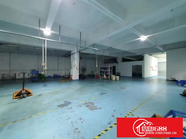 东莞长安上沙新出三楼1000平 带现成装修水电齐全 可拧包投入生产