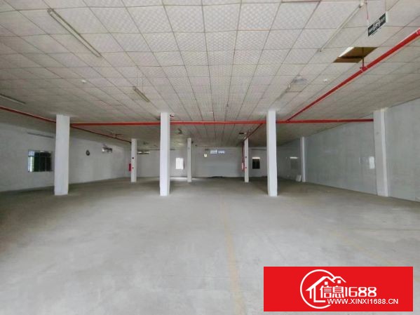 东莞塘厦一手房东单层独院4000平 实际面积出租20元 厂房3500平 宿舍500平 电315 可以整租或分租