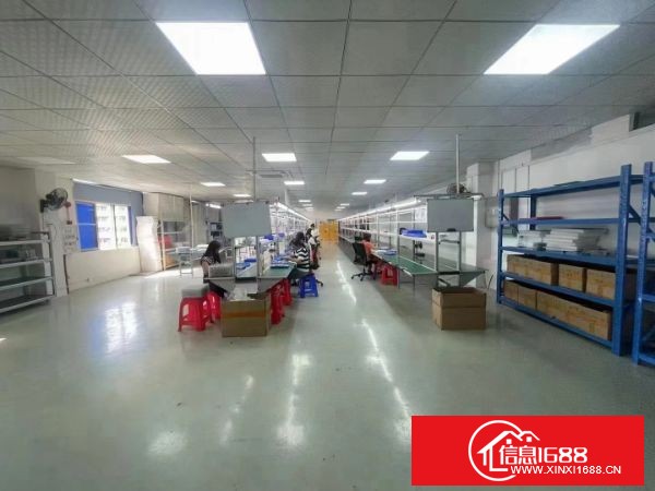 东莞长安乌沙最新空出独门独院厂房，实积面积出租，园区总面积6500平，毗邻深圳，大小可以分租