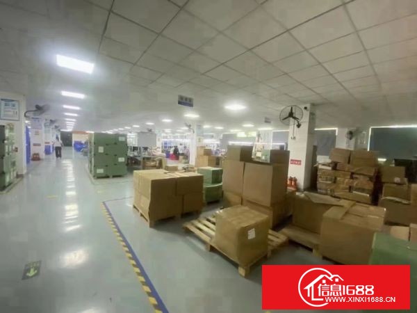 龙岗坪地新出独栋厂房1-4层6200平方，一楼6米高，（精装修办公室），空地大，合同期长！