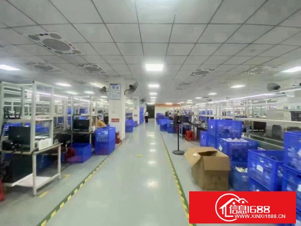 龙岗坪地新出独栋厂房1-4层6200平方，一楼6米高，（精装修办公室），空地大，合同期长！