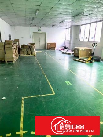 龙华大浪新百丽新空出来770平方米，原房东厂房，带无尘车间，拎包入住