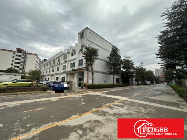 东莞塘厦平山工业大道主干道边上原房东独栋实际面积 1-3楼3000平方，3 楼精装办公室