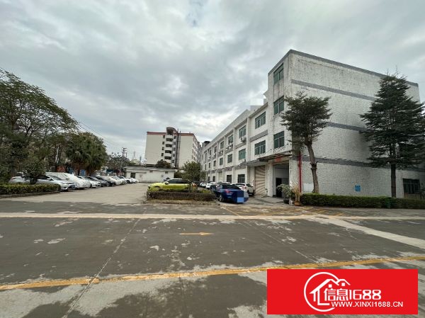 东莞塘厦平山工业大道主干道边上原房东独栋实际面积 1-3楼3000平方，3 楼精装办公室