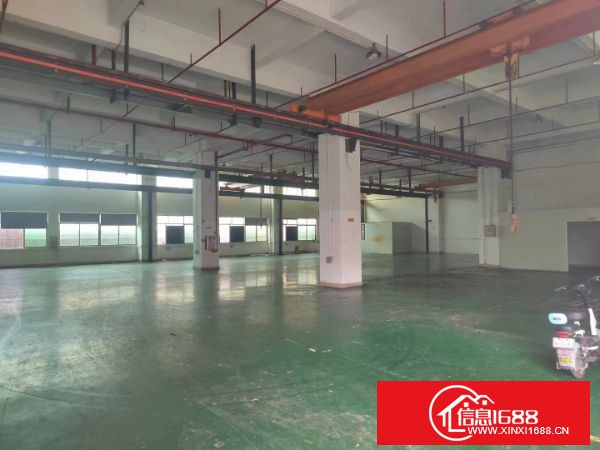 东莞长安厦岗沿江高速出口附近 新空一楼1600平带航车， 前台隔楼办公室，水电齐全。6米高