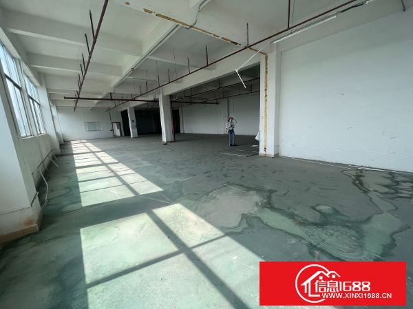 龙岗布吉上李朗工业园出租1-4层，总面积16400平方，可分租，可整租，500平方起租，靠地铁10号线