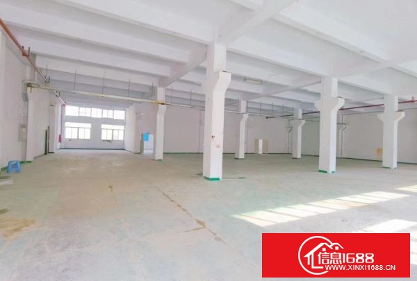 沙井步涌同富裕、原房东自建漂亮红本园区厂房：1楼半层1350平方，2楼整层2700平方，可分租，