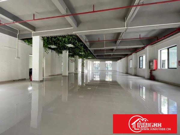 坂田华为附近大型园区二楼整层800平即将空出，带2吨货梯，大小可分，可定制装修，租金优惠