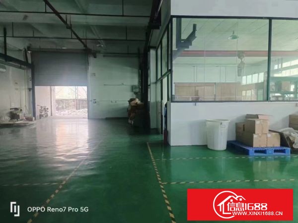 东莞长安上沙滨海湾 厂房一楼580平（厂房带2部行车 全新地坪漆  适合注塑  磨具  CNC  大型电脑锣）