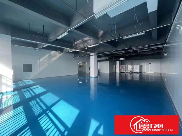 东莞大岭山镇，厚大路边工业园区楼上1000平方，现成无尘车间！