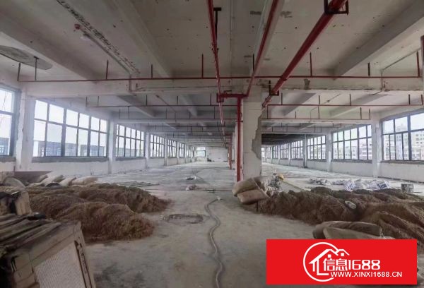 布吉独栋！ 可以冠名独门独院小独栋，整栋6000平，工业红本，1-5层，层高4.3米，可分租，可整租