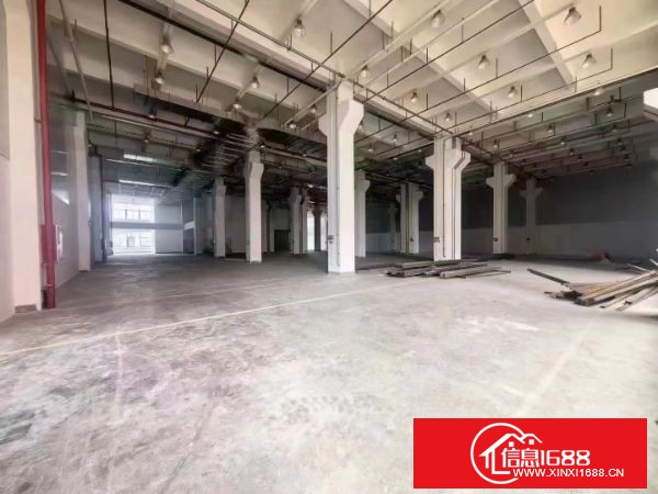 东莞塘厦科苑城附近原房东，标准一楼9米高 实际面积2000平方，不加任何公摊，可分租