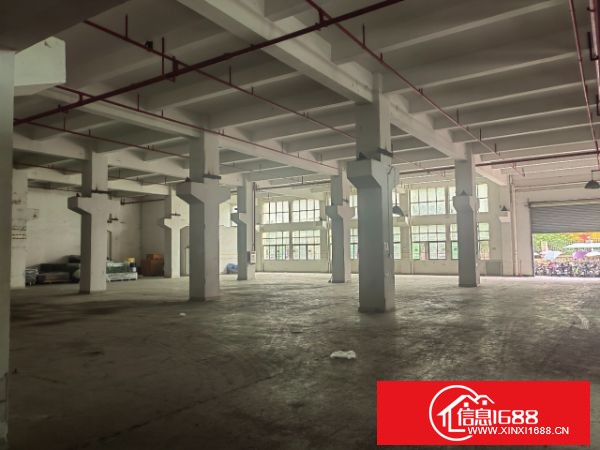 东莞凤岗 雁田标准厂房一楼2300平米 6米高带牛脚，可分租