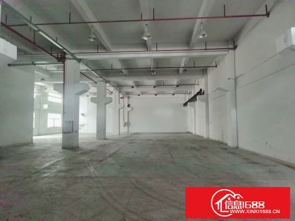东莞凤岗 雁田标准厂房一楼2300平米 6米高带牛脚，可分租
