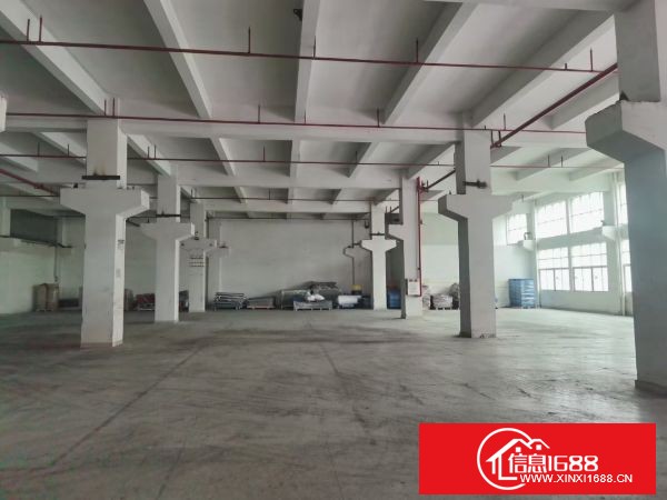 东莞凤岗 雁田标准厂房一楼2300平米 6米高带牛脚，可分租
