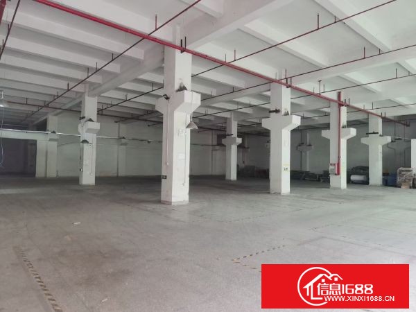 东莞凤岗 雁田标准厂房一楼2300平米 6米高带牛脚，可分租